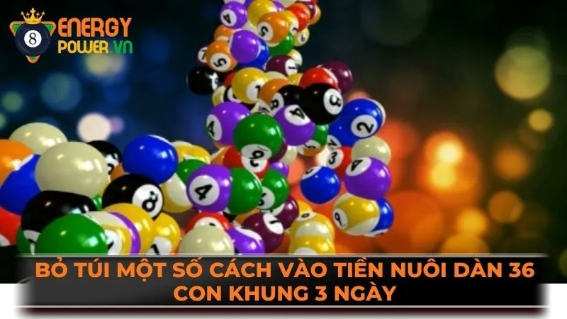 Bỏ túi một số cách vào tiền nuôi dàn 36 con khung 3 ngày