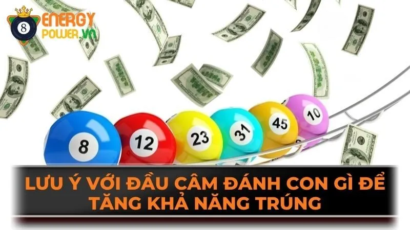 Lưu ý với đầu câm đánh con gì để tăng khả năng trúng