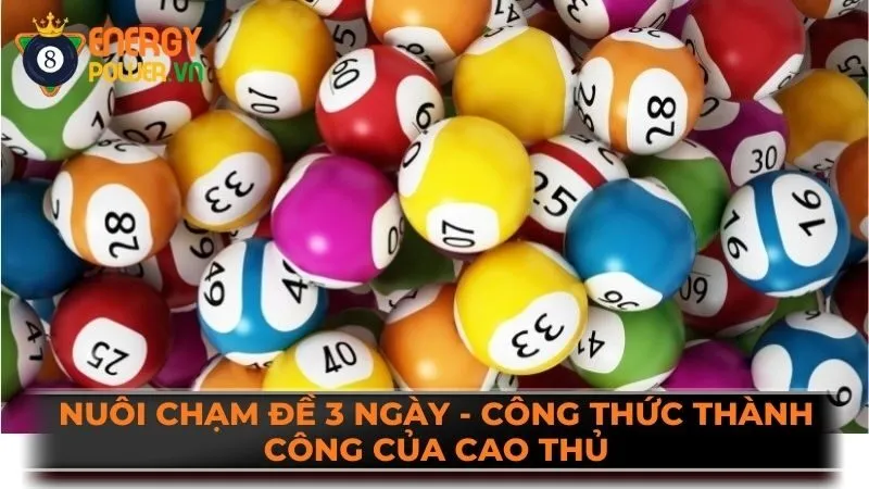 Nuôi Chạm Đề 3 Ngày – Công Thức Thành Công Của Cao Thủ